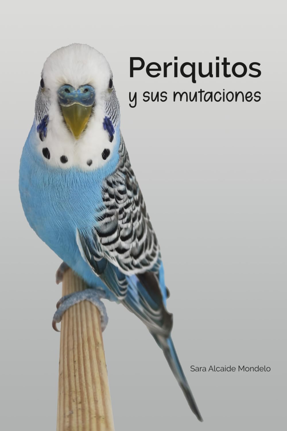Periquitos y sus mutaciones (Spanish Edition) by Sara Alcaide Mondelo