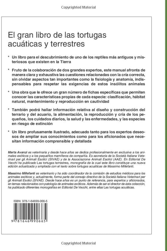 El gran libro de las tortugas (Spanish Edition) by Marta Avanzi