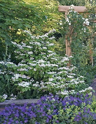 Complete Book of Outdoor DIY Projects: The How-To Guide for Building 35 Projects in Stone, Brick, Wood, and Water (Creative Homeowner) Step-by-Step Instructions for Stylish Lawn & Garden Improvements by Penny Swift