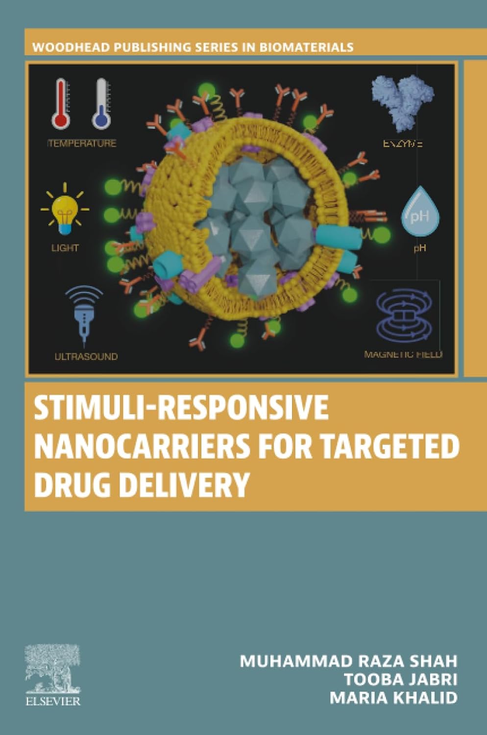 Stimuli-Responsive Nanocarriers for Targeted Drug Delivery (Woodhead Publishing Series in Biomaterials) by Muhammad Raza Shah