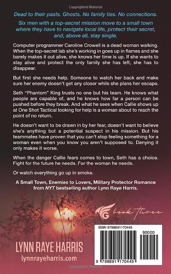 Seth: A Small Town, Enemies to Lovers, Military Protector Romance (Ghost Ops) by Lynn Raye Harris