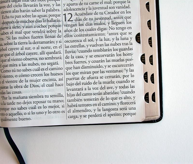 Biblia Reina Valera Revisada 1960 letra súper gigante, símil piel negra con índice / Spanish Bible RVR 1960 Super Giant Print, Black Leathersoft w/ thumb (Spanish Edition) by Reina Valera Revisada 1960