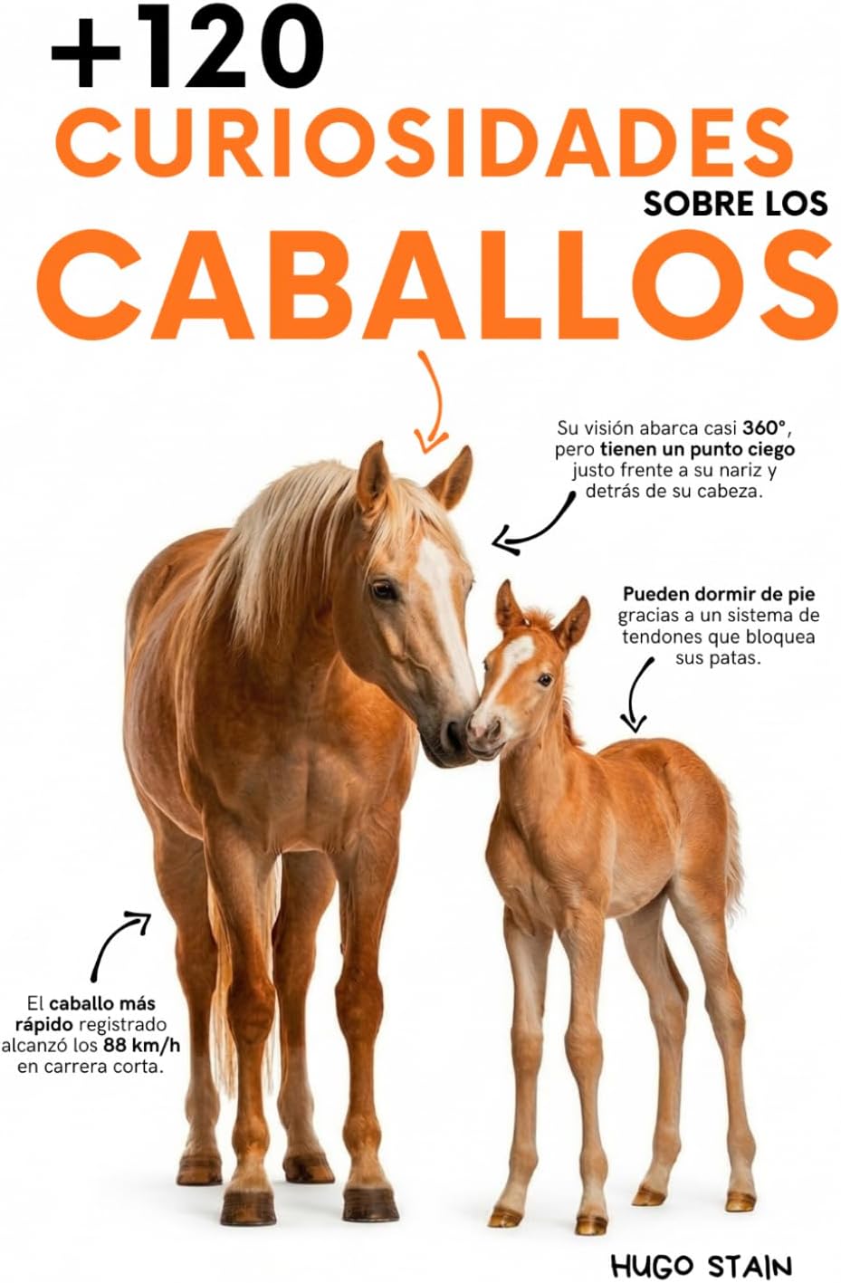 120 CURIOSIDADES sobre CABALLOS: Datos sorprendentes, secretos, historias y curiosidades increíbles sobre razas, comportamiento, historia y cuidados ... (Libros de Caballos) (Spanish Edition) by Hugo Stain
