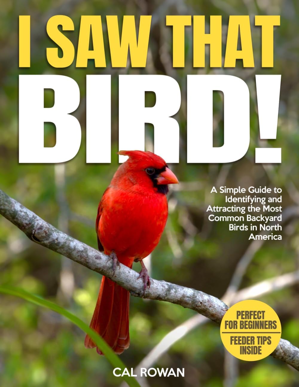 I Saw That Bird!: A Simple Guide to Identifying and Attracting the Most Common Backyard Birds in North America by Cal Rowan