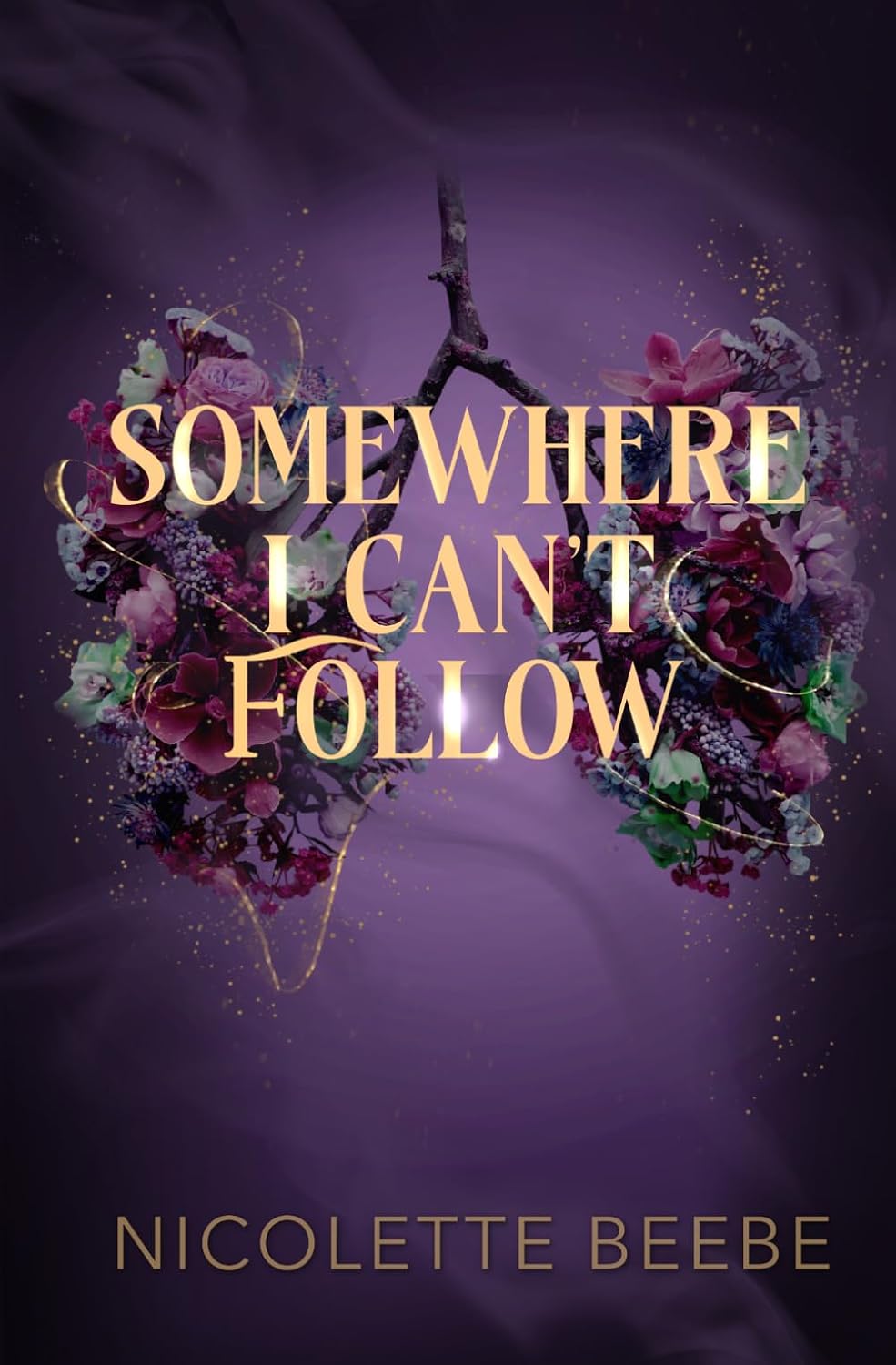 Somewhere I Can't Follow: a dark romantasy by Nicolette Beebe