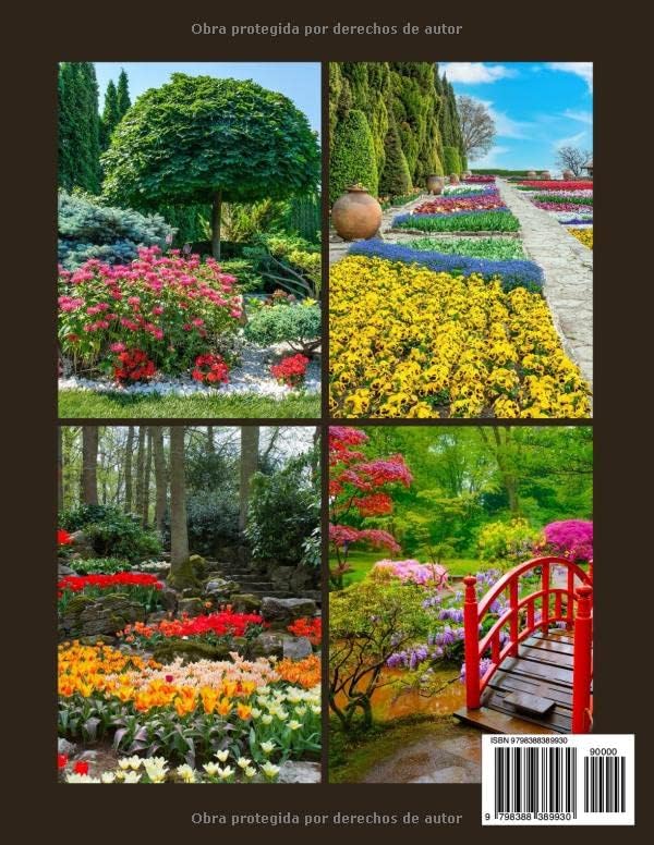 Fotografía De Jardín De Flores: Una hermosa ayuda visual para niños, entusiastas de las flores, pacientes con demencia y Alzheimer y personas mayores con pérdida de memoria. (Spanish Edition) by Lisa Publisher