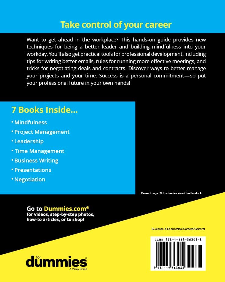 Career Development All-in-One For Dummies by The Experts at Dummies