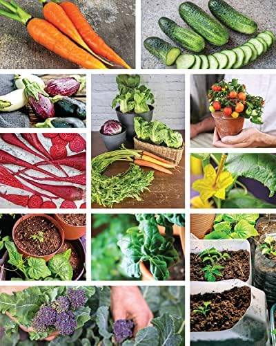 How to Garden Indoors & Grow Your Own Food Year-Round: Ultimate Guide to Vertical, Container, and Hydroponic Gardening (Creative Homeowner) Vegetables, Herbs, DIY Projects, Composting, Lights, & More by Kim Roman