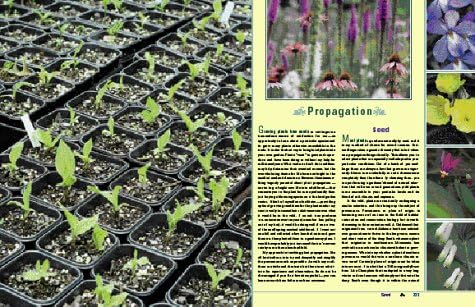 The New England Wild Flower Society Guide to Growing and Propagating Wildflowers of the United States and Canada by William Cullina