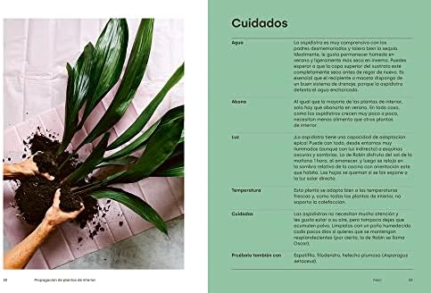 Propagación de plantas de interior: Trucos y consejos para replantar (Spanish Edition) by Robin Daly
