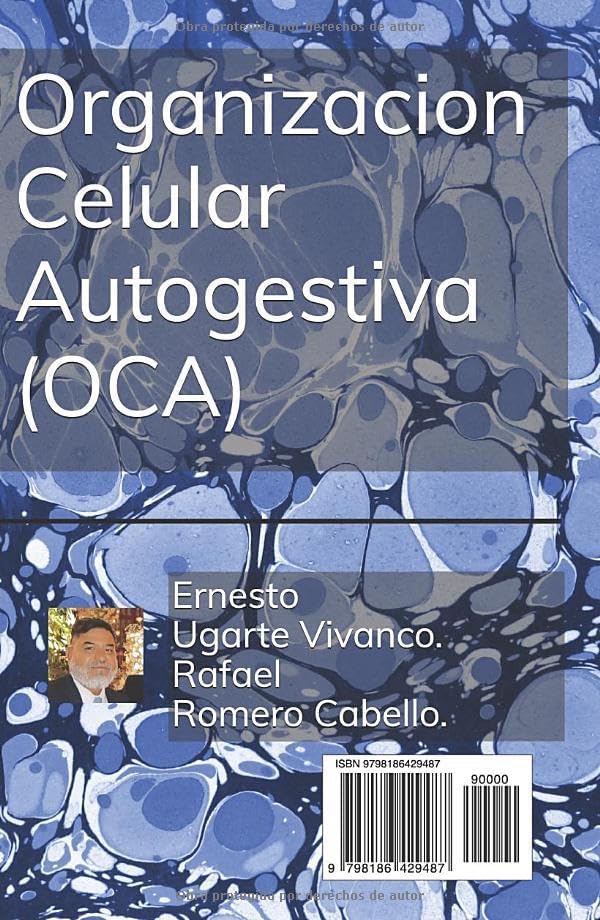 UN PROYECTO DE VIDA: El instrumento de la toma de decisiones difíciles. (Spanish Edition) by Rafael Romero Cabello