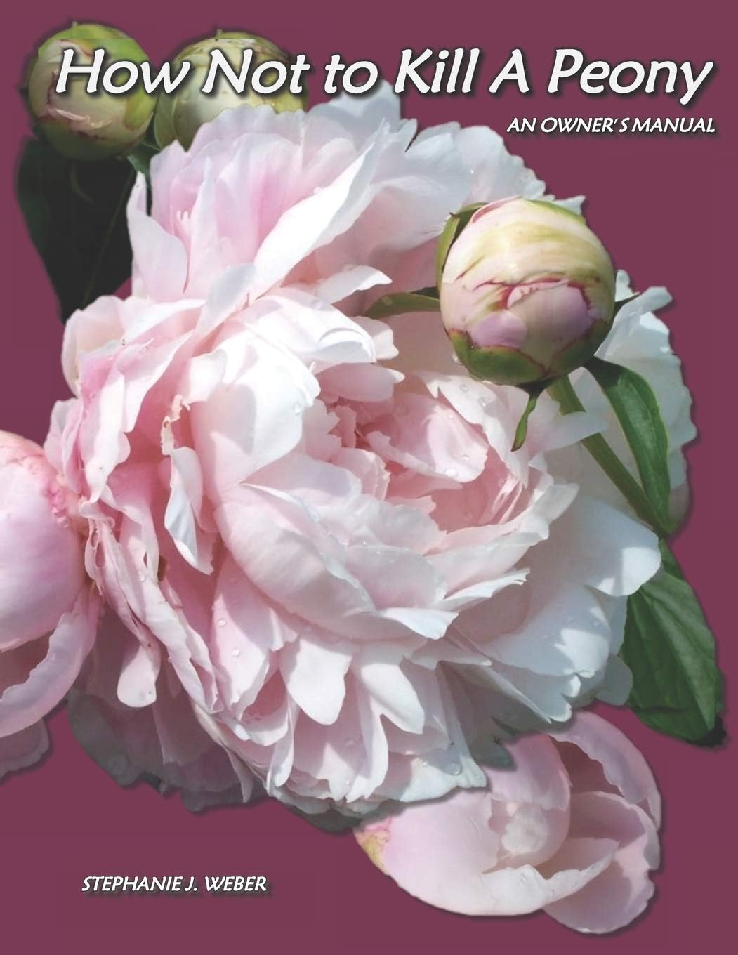 How Not to Kill a Peony: An Owner's Manual by Stephanie J. Weber