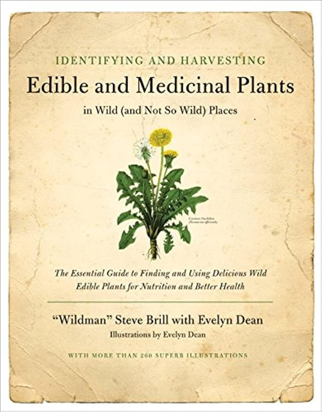 Identifying and Harvesting Edible and Medicinal Plants in Wild (and Not So Wild) Places by Steve Brill