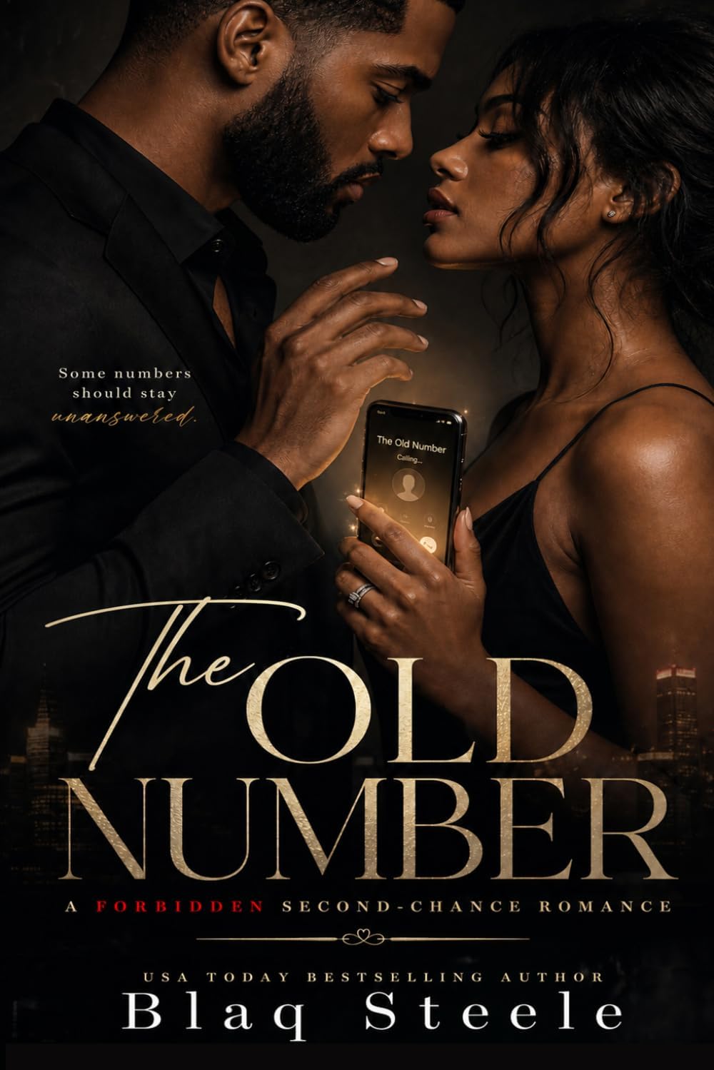 The Old Number: A Forbidden Second-Chance Romance by Blaq Steele