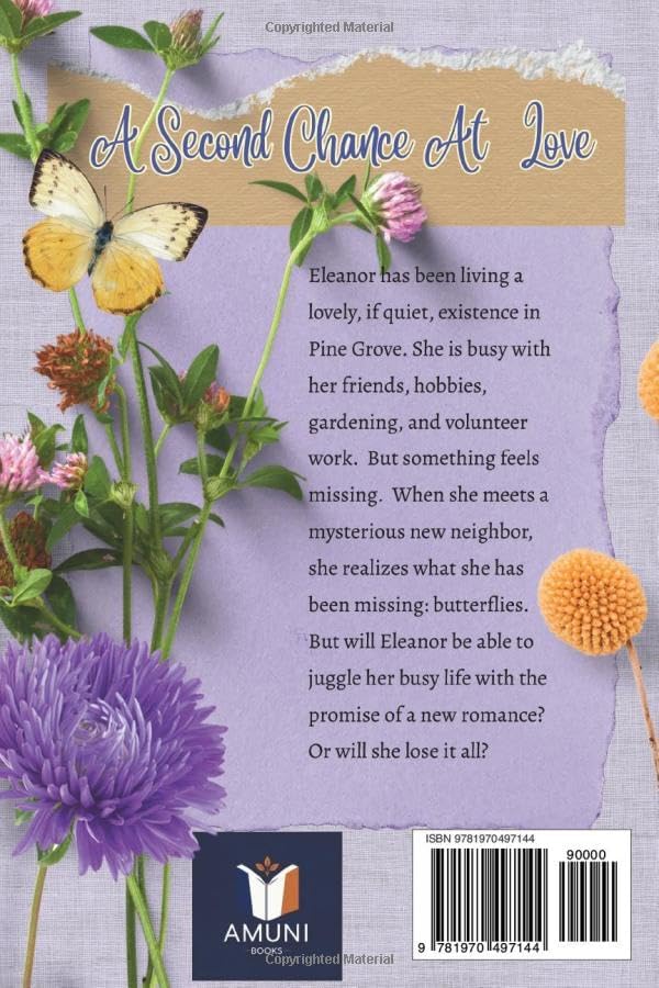 A Second Chance at Love by Grace Stone