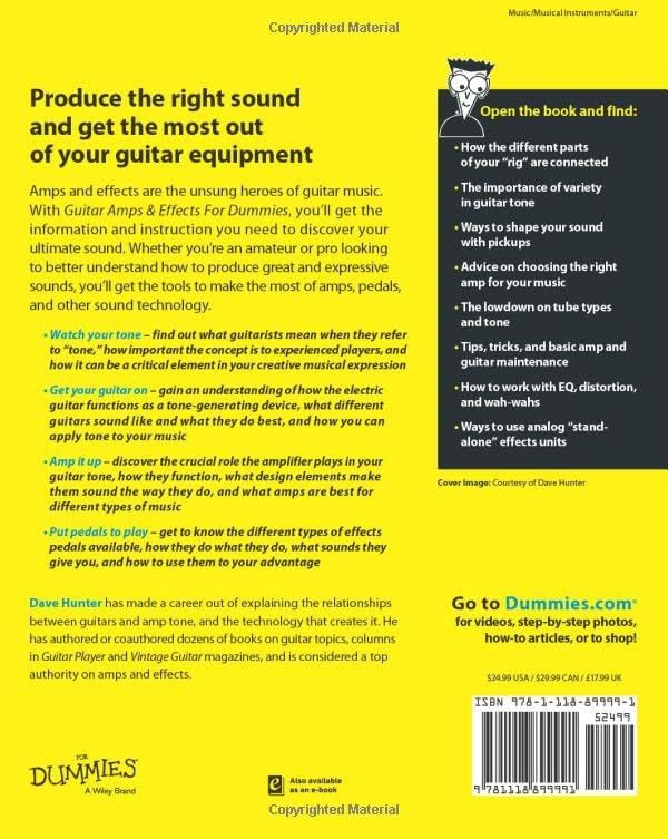 Guitar Amps & Effects For Dummies (For Dummies Series) by Dave Hunter