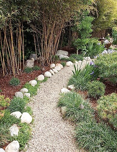 Ultimate Guide to Walks, Patios & Walls, Updated 2nd Edition: Plan, Design, Build (Creative Homeowner) Step-by-Step DIY Instructions with 500 Photos - Brick, Mortar, Concrete, Flagstone, and Tile by Editors of Creative Homeowner