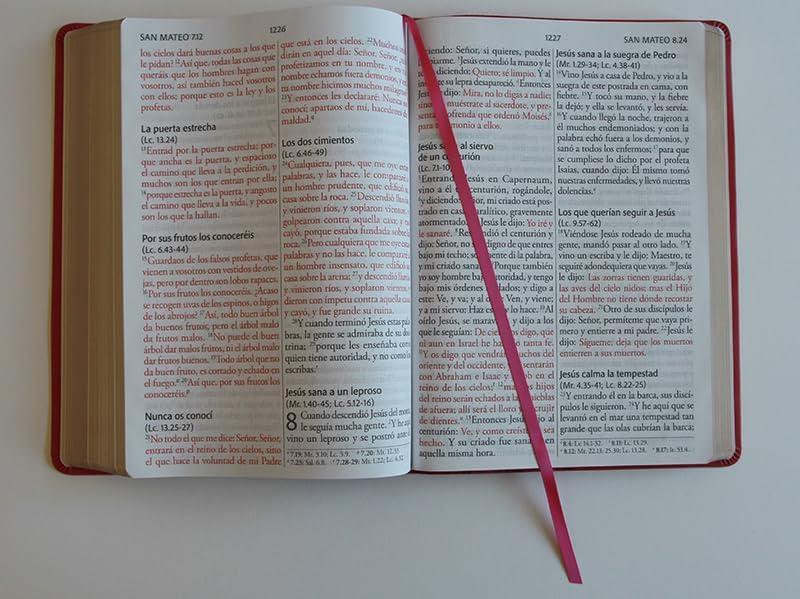 Biblia Reina Valera Revisada 1960 letra súper gigante, símil piel fucsia rosada / Spanish Bible RVR 1960 Super Giant Print, Fuchsia Pink Leathersoft (Spanish Edition) by Reina Valera Revisada 1960