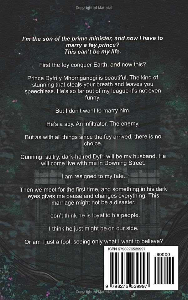 Fey Divinity: Gay Dark Romantasy (Fey Lords) by S. Rodman