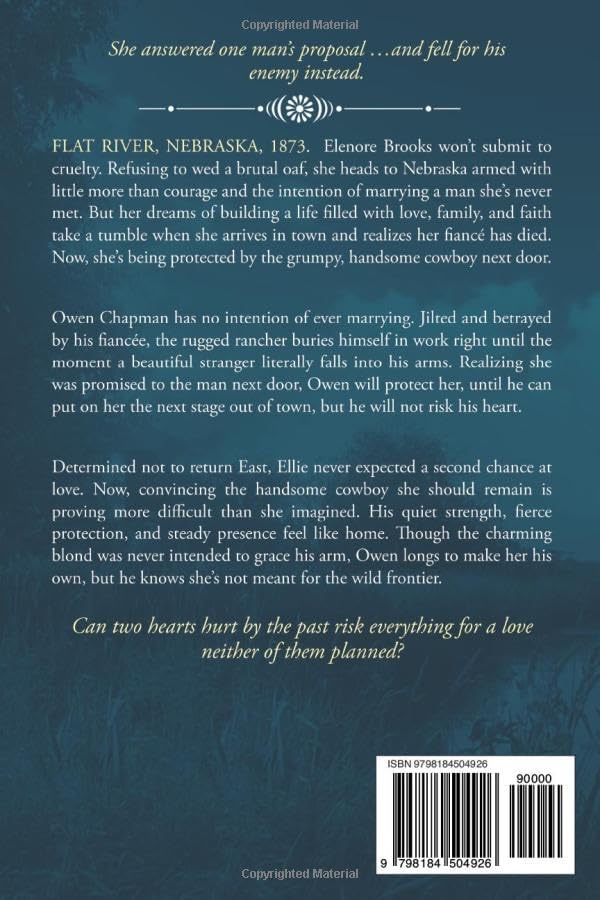 Not His Mail Order Bride: Large Print Edition by Christine Sterling