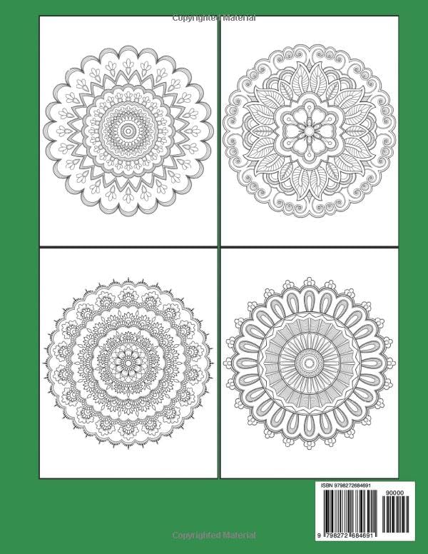 100 Pages Mandalas Adult Coloring Book: Large Print Relaxing Mandala Coloring Book for Adults – Fun and Simple Designs for Mindfulness and Stress Relief by Alora V. Finch