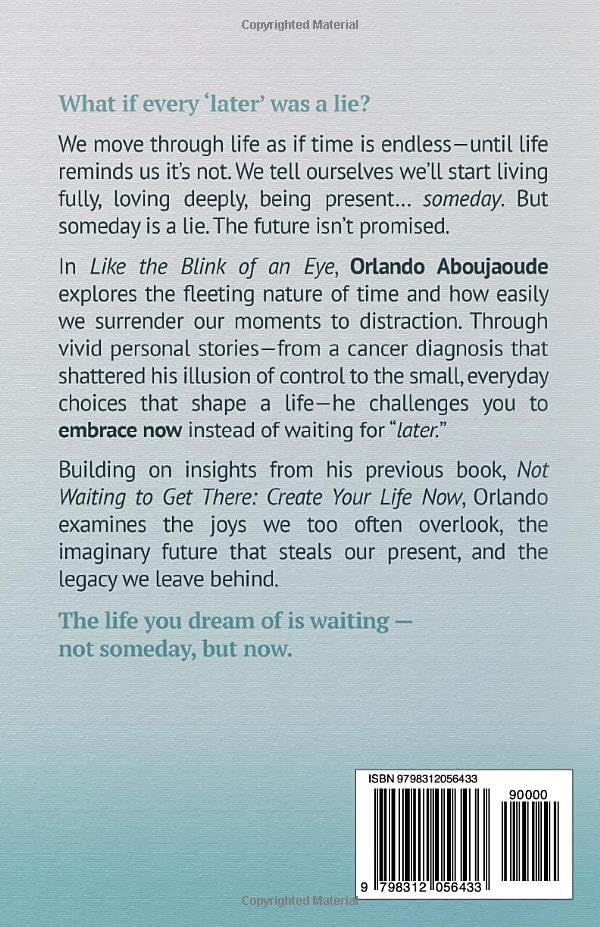 Like The Blink Of An Eye: The Time We Think We Have by Orlando Aboujaoude