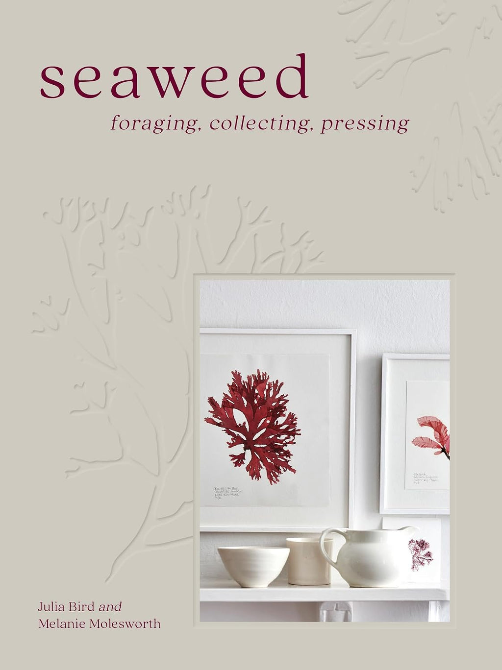 Seaweed: The sustainable guide to our oceans, with crafts, foraging, collecting and pressing by Melanie Molesworth