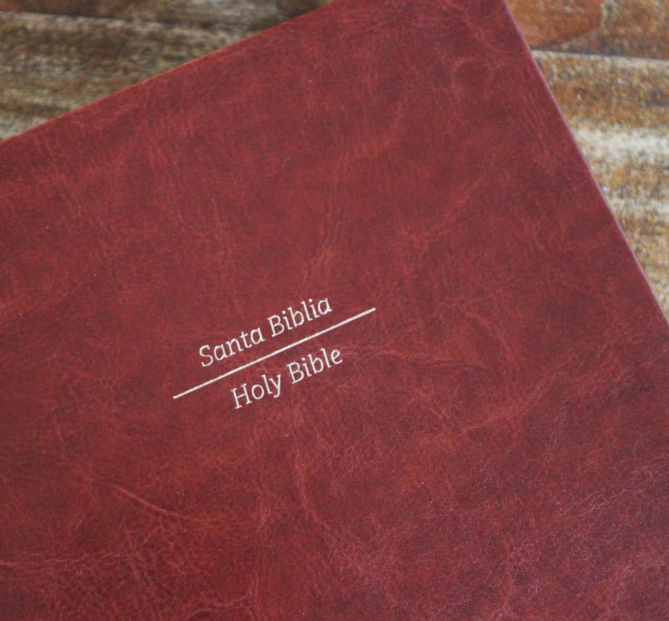 Biblia Bilingüe Reina Valera 1960/ESV Tamaño grande piel marrón / Bilingual Bible RVR60/English Standard Large Size Large Print Leather (Spanish Edition) by Reina Valera Revisada 1960