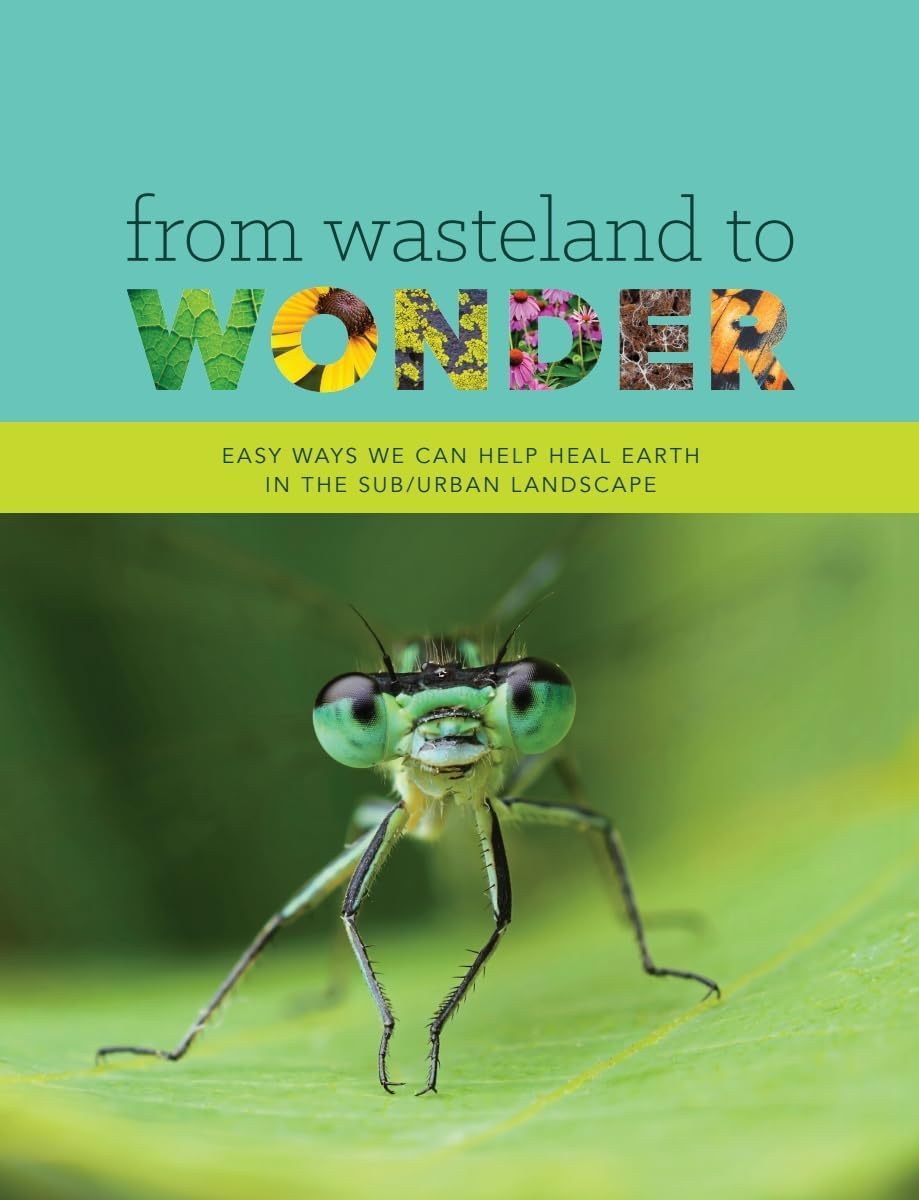 From Wasteland to Wonder: Easy Ways We Can Help Heal Earth in the Sub/Urban Landscape by Basil Camu
