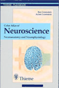 Color Atlas of Neuroscience: Neuroanatomy and Neurophysiology by Ben D. Greenstein