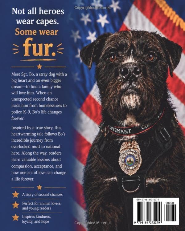 Sgt. Bo: From Homeless to Hero by Faye Okert