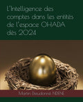 L’Intelligence des comptes dans les entités de l’espace OHADA dès 2024 (French Edition) by Martin Dieudonné NDENE