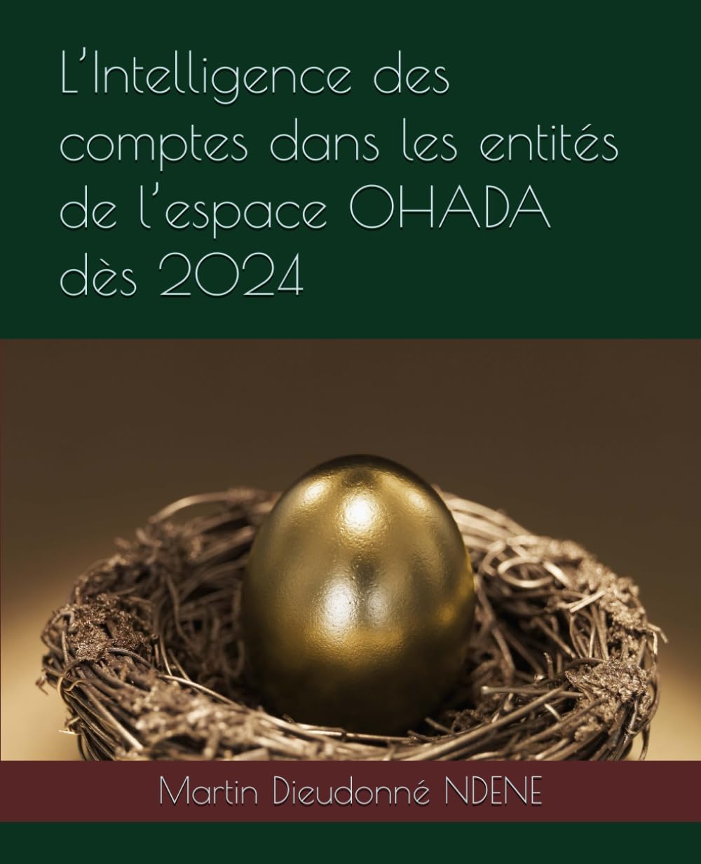 L’Intelligence des comptes dans les entités de l’espace OHADA dès 2024 (French Edition) by Martin Dieudonné NDENE