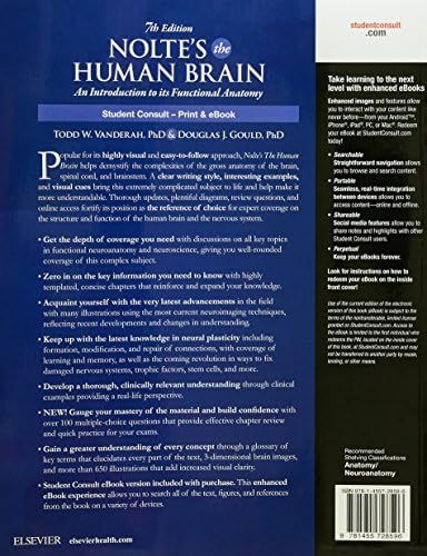 Nolte's The Human Brain: An Introduction to its Functional Anatomy by Todd W. Vanderah PhD