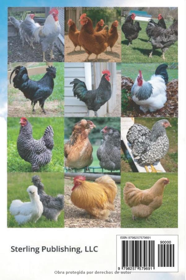 Hablemos sobre la Cría de Gallinas: Todo lo que Necesitas Saber para Criar Gallinas Felices y Sanas, Optimizar la Producción de Huevos, Iniciar una ... familiar y Burlar al Zorro (Spanish Edition) by Rhoda I Landred
