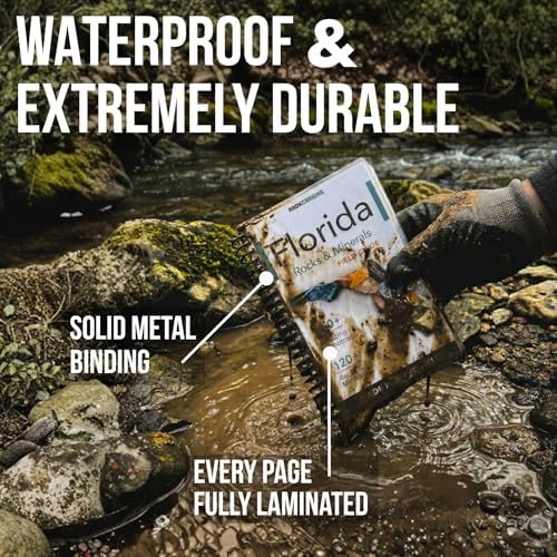Florida Rocks & Minerals Identification Field Guide | Waterproof | Find Rocks, Minerals, Crystals, and Gems | For Beginners, Kids, and Experienced Rockhounds | Rock Chasing by Rock Chasing