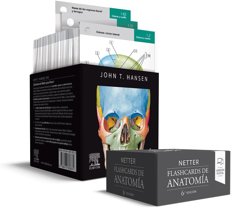 Netter. Flashcards de anatomía by John T. Hansen PhD