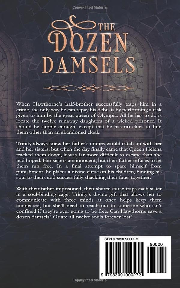 The Dozen Damsels: A Retelling of The 12 Labors of Hercules & The 12 Dancing Princesses (The Fairmyth Chronicles) by Abigail Manning