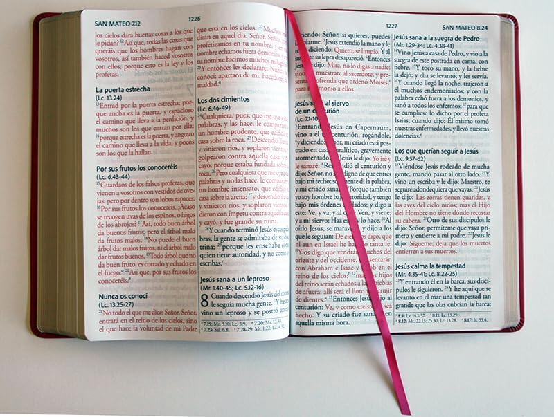 Biblia Reina Valera Revisada 1960 letra súper gigante, símil piel fucsia rosada / Spanish Bible RVR 1960 Super Giant Print, Fuchsia Pink Leathersoft (Spanish Edition) by Reina Valera Revisada 1960
