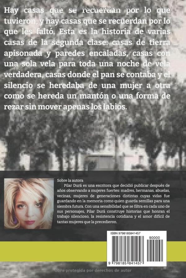 Niebla en El Pradillo (Spanish Edition) by Sra Pilar Durá