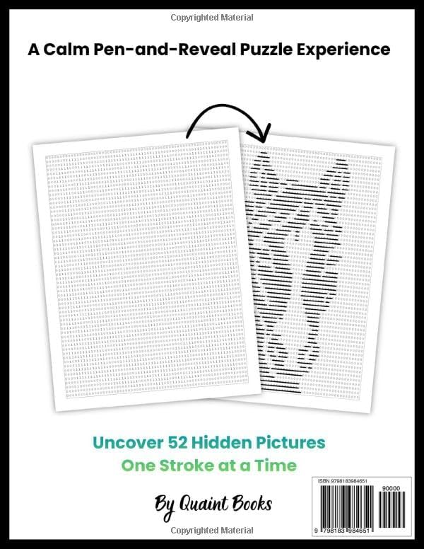 Binary Monochrome Mysteries: A Calm Pen-and-Reveal Puzzle Experience | Uncover 52 Hidden Pictures One Stroke at a Time (1s and 0s) by Quaint Books