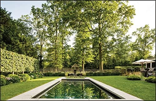 Intersection of Nature and Art: James Doyle Design Associates by James Doyle Design Associates