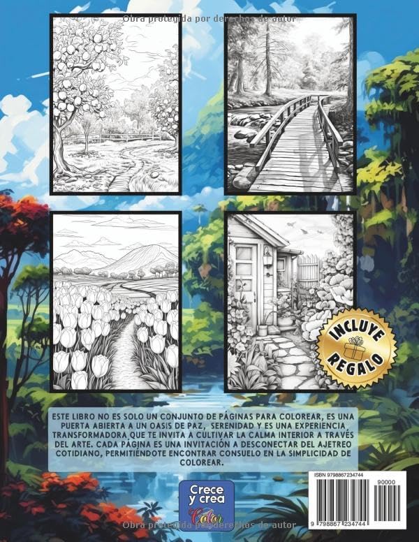 101 paisajes para relajar tu mente: libro de colorear para adultos. Terapia Artística para la mente, antiestrés, serenidad, concentración, mindfull, ... de colorear para adultos) (Spanish Edition) by Dlop Creations