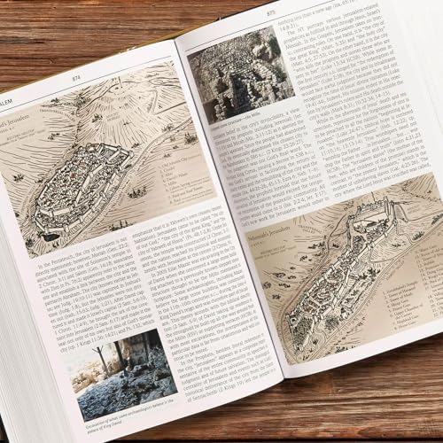 Holman Illustrated Bible Dictionary by Chad Brand