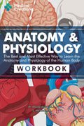 Anatomy & Physiology: The Best and Most Effective Way to Learn the Anatomy and Physiology of the Human Body: Workbook by S. Meloni M.D.