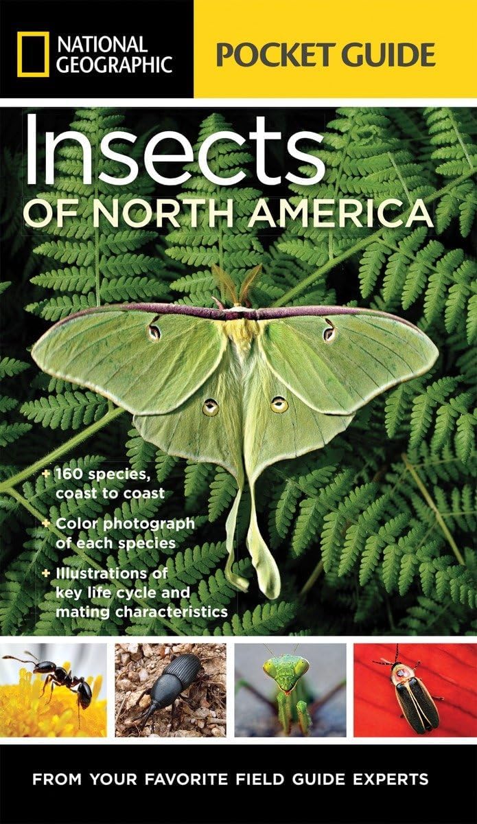National Geographic Pocket Guide to Insects of North America: From Your Favorite Field Guide Experts by Arthur V. Evans