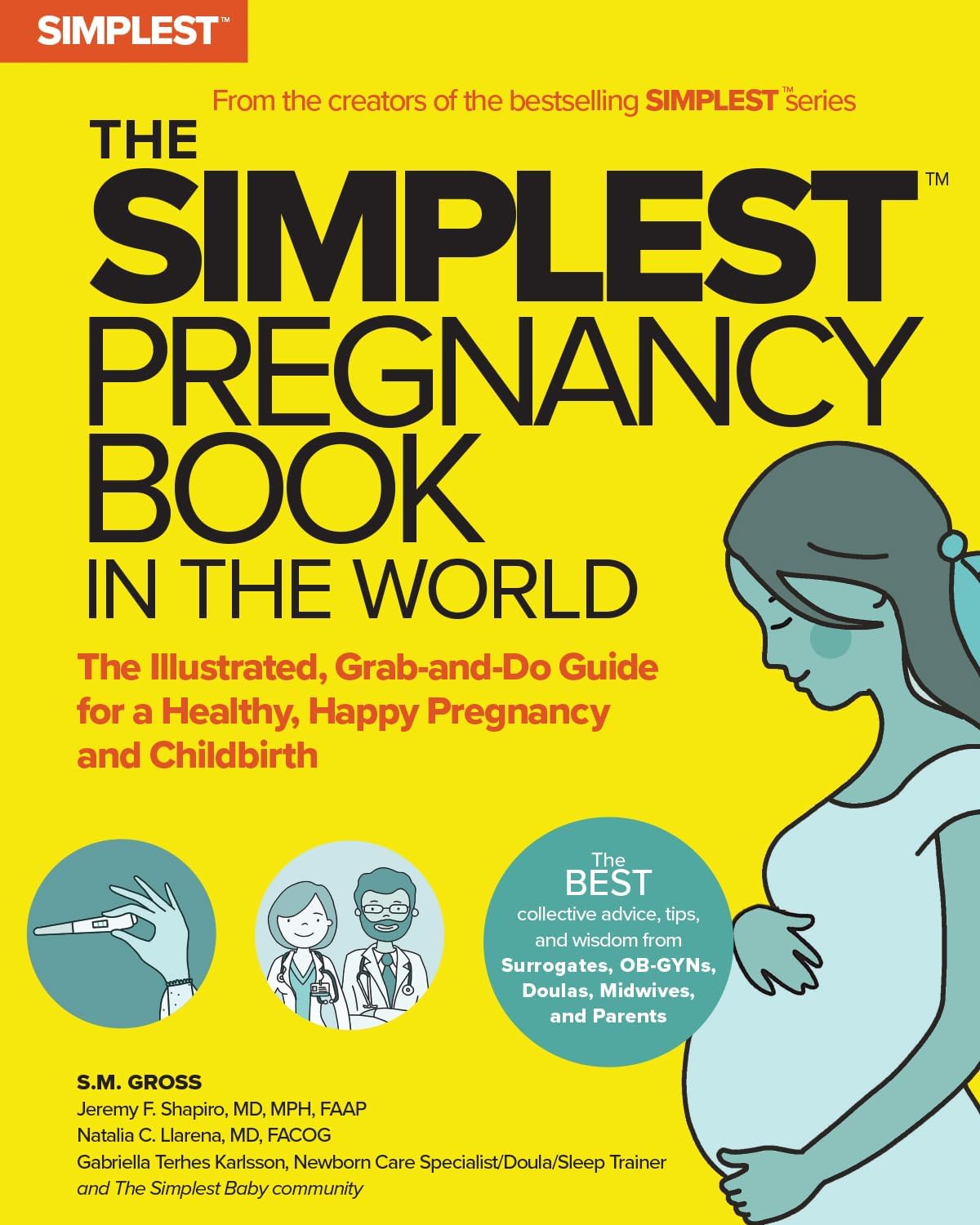 The Simplest Pregnancy Book in the World: The Illustrated, Grab-and-Do Guide for a Healthy, Happy Pregnancy and Childbirth by S. M. Gross