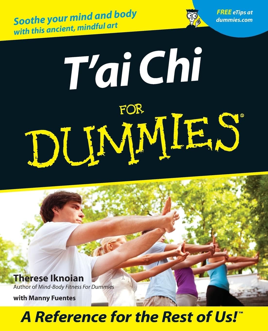 T'ai Chi For Dummies (For Dummies Series) by Therese Iknoian