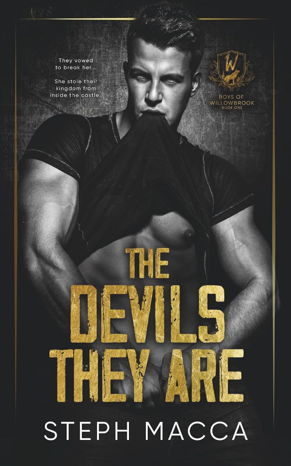 The Devils They Are: An Academy Enemies To Lovers Romance (Boys of Willowbrook Book 1) by Steph Macca