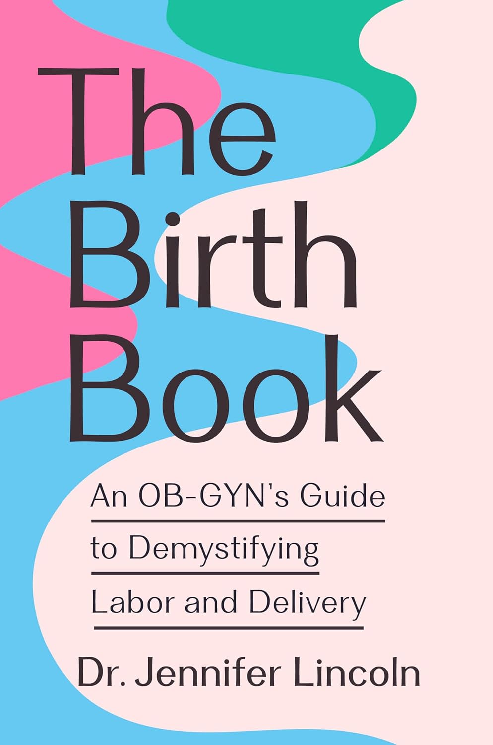 The Birth Book: An OB-GYN's Guide to Demystifying Labor and Delivery by Dr. Jennifer Lincoln